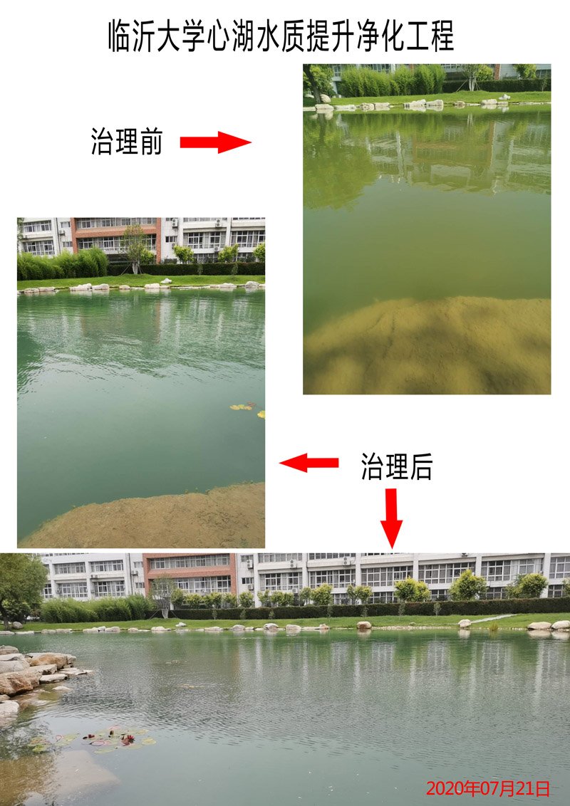 治理后水质清澈见底