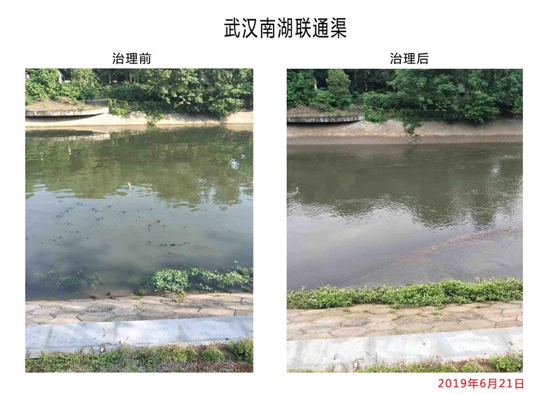 水很浑浊
